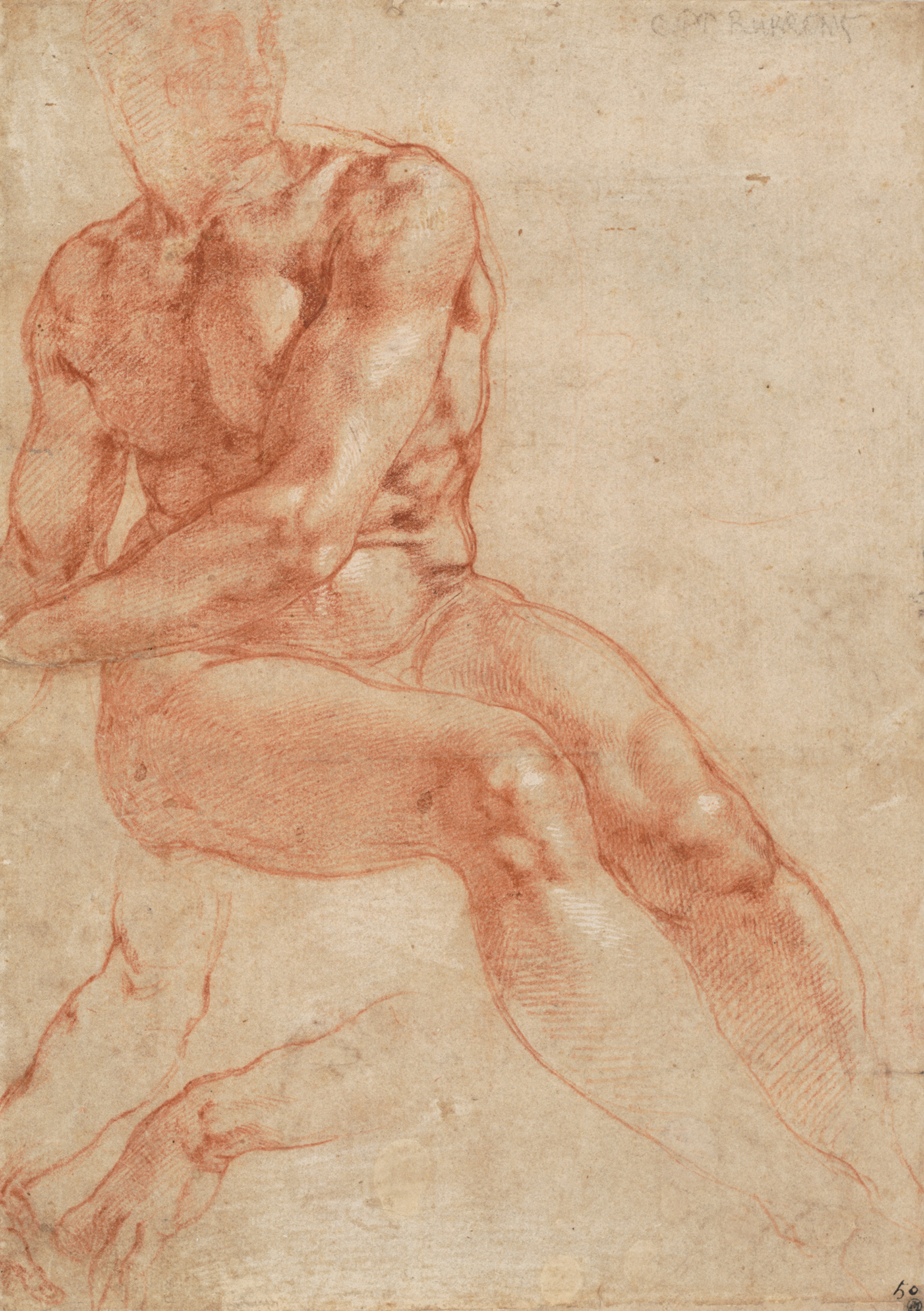 Michelangelo Buonarroti: Sitzender Jünglingsakt, 1510-1511