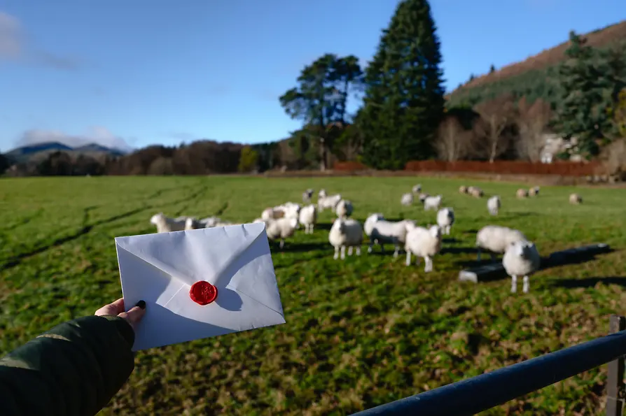 Landschaft in Dull, ein Briefumschlag und Schafe