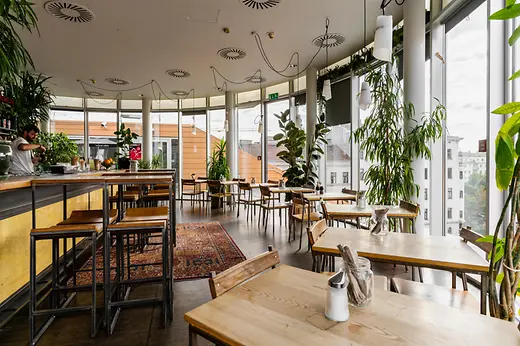 Bright rooftop venue with large windows, lush plants and city views.