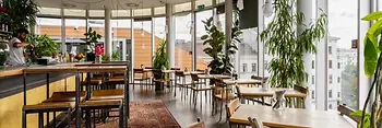 Bright rooftop venue with large windows, lush plants and city views.