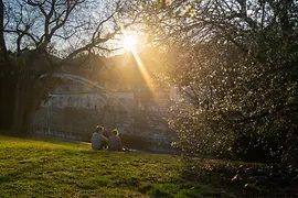 Ein Paar sitzt im Stadtpark bei Frühlingsstimmung