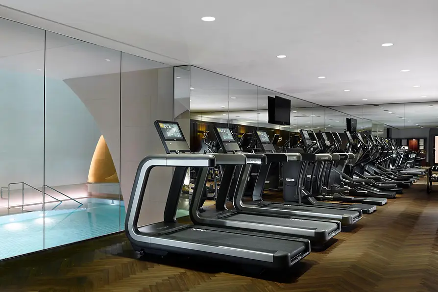 Fitness area in the Arany Spa at Park Hyatt Vienna with treadmills, cross-trainers and strength equipment.