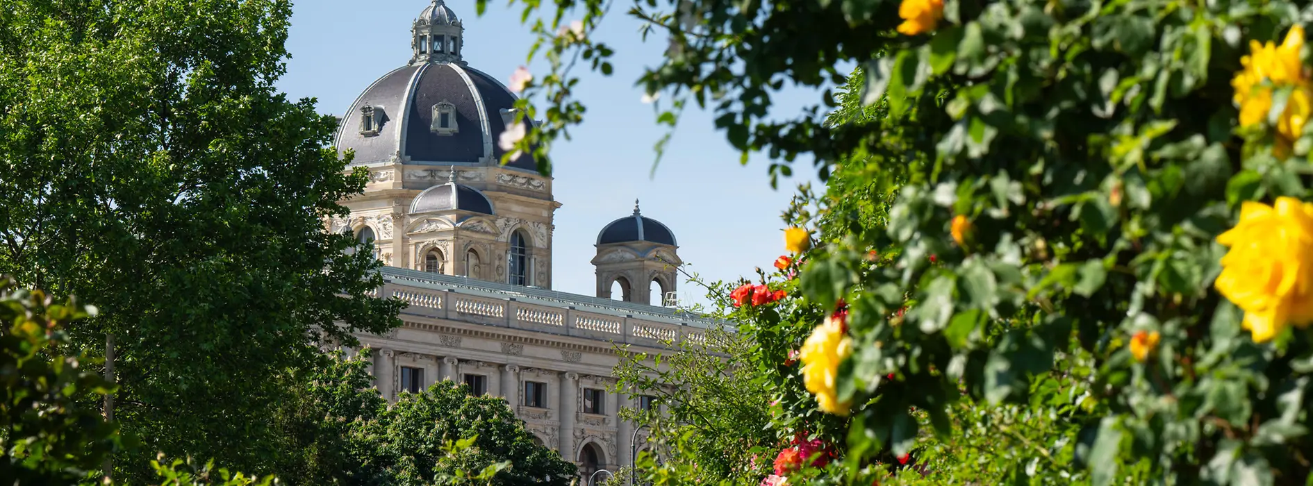 Blick auf das Naturhistorische Museum vom Volksgarten