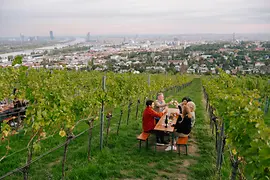 People drinking wine in vineyard