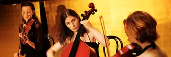 String Trio in the Gläserner Saal ("Glassy Hall") of Musikverein