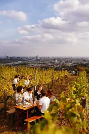Herbstliche Weingärten 