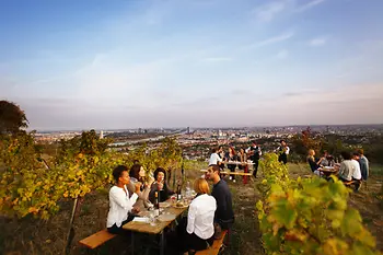 Menschen in den Weinbergen mit Blick auf Wien