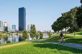 Cyclist on Danube Island