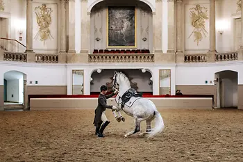 Spanish Riding School