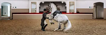 Spanish Riding School