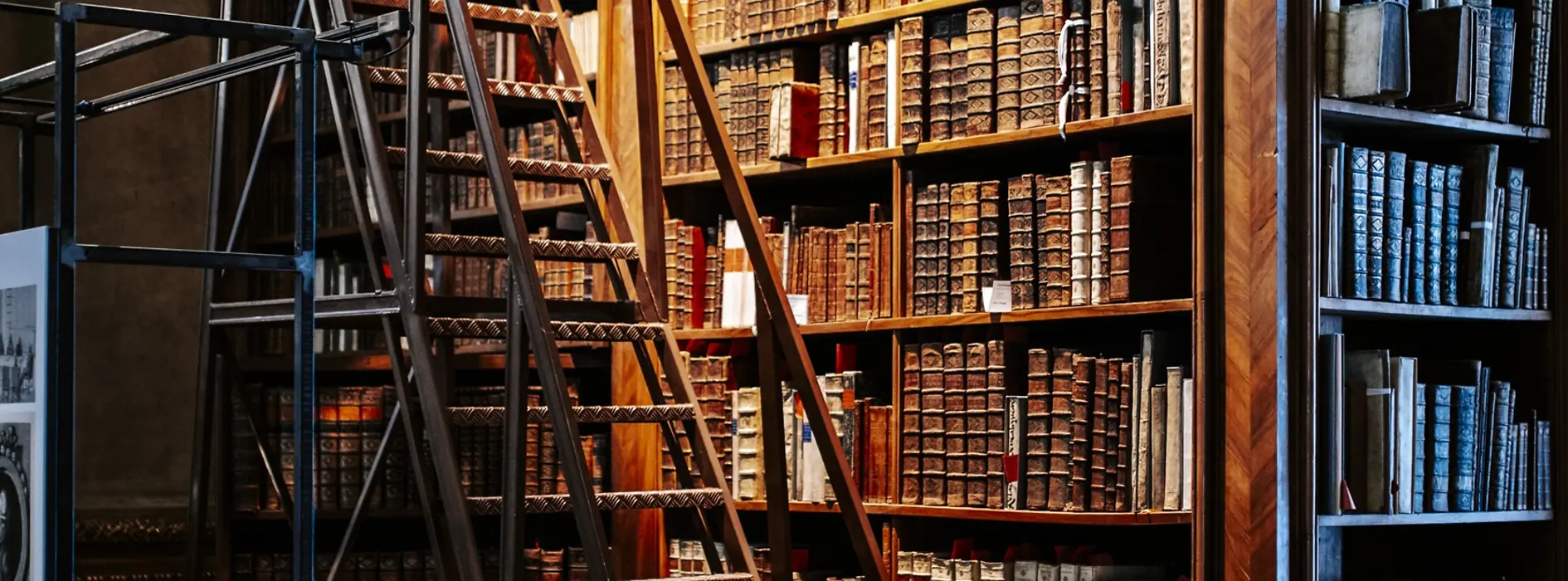 Ansicht eines Bücherregals mit Leiter in der Nationalbibliothek