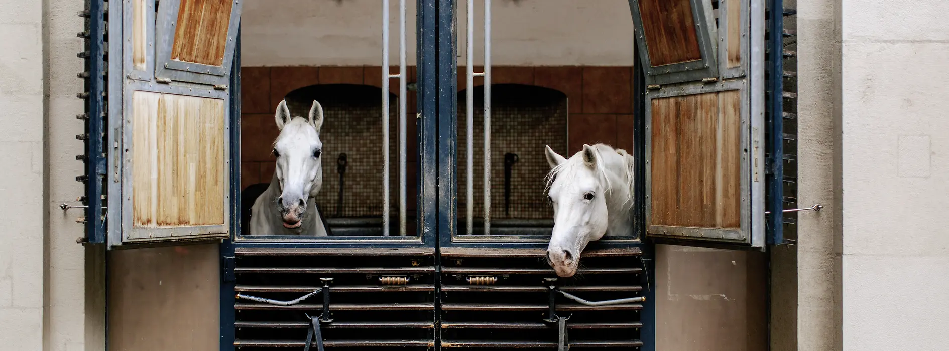 Spanische Hofreitschule, Lipizzaner, Sattelkammer