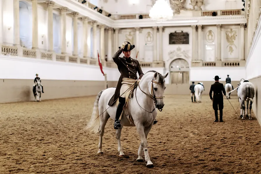 Wien Tourismus / Paul Bauer Spanische Hofreitschule, Lipizzaner