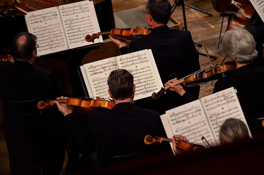 WienTourismus / Peter Rigaud Wiener Symhoniker im Wiener Konzerthaus, Streicher