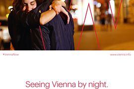A couple on a Viennese street at night