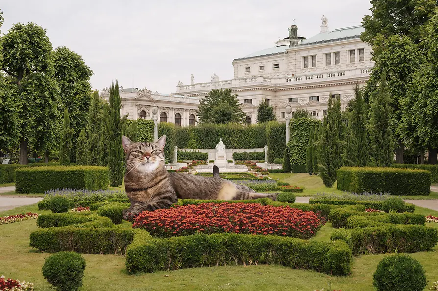 Mietzi im Volksgarten