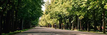 Prater Hauptallee