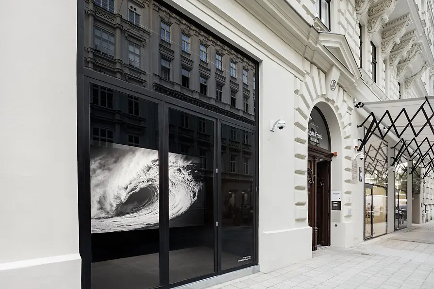 Hertha Hurnaus, Sigmund Freud Privatstiftung Sigmund Freud Museum, Außenansicht, Robert Longo, untitled (Hellion)