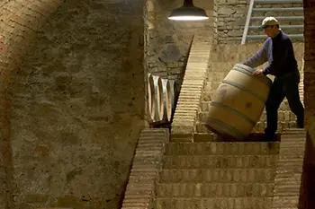 Weingut Wieninger