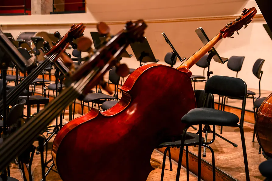 WienTourismus/Peter Rigaud Musikinstrumente im Wiener Konzerthaus