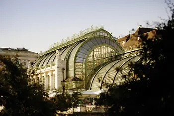 Palmenhaus im Burggarten