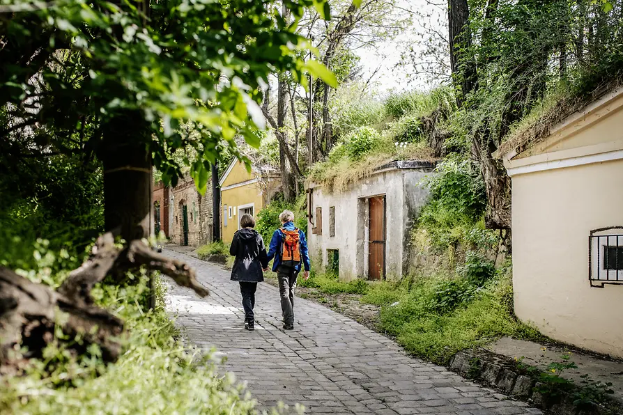Stammersdorf Kellergasse, Forest hiking