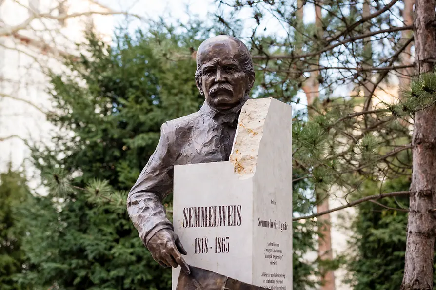 MedUni Wien / Zsolt Marton Ignaz Semmelweis, bust by Zsolt Marton