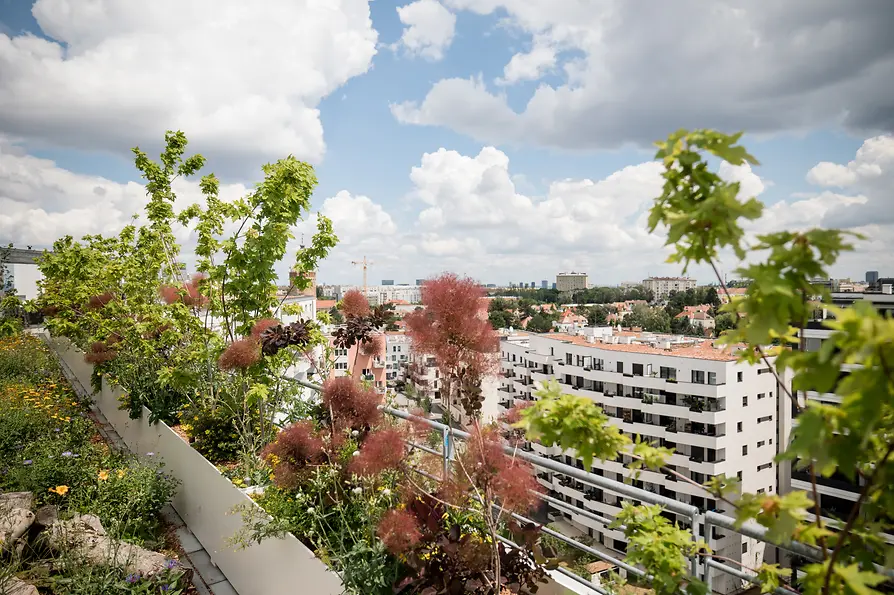IBA Wien Yvonne Fetz IBA, Biotope City