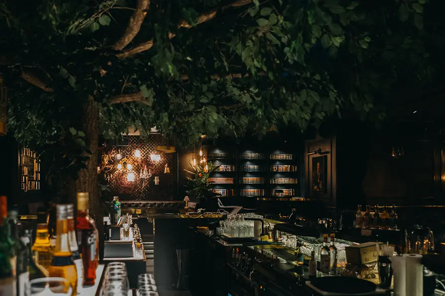 Bardh Sokoli Bar Hannelore, interior view