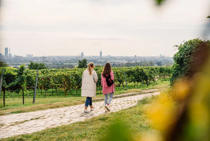 Wandern in Wiens Weinbergen