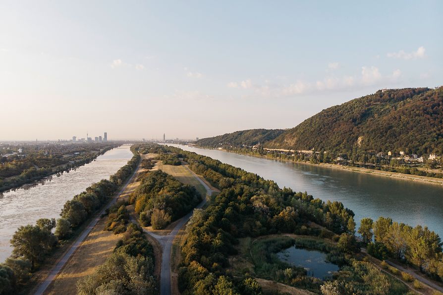 Isla del Danubio
