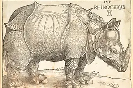 Albrecht Dürer: Das Rhinozerus, 1515