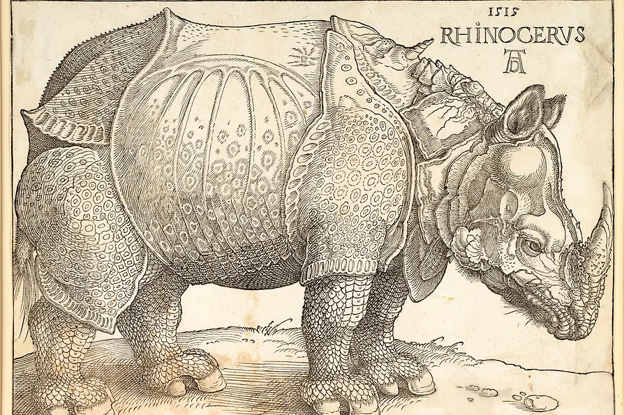 Albrecht Dürer: Das Rhinozerus, 1515