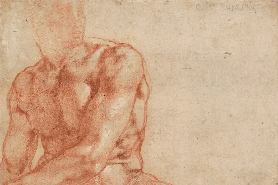 Michelangelo Buonarroti: Sitzender Jünglingsakt, 1510-1511
