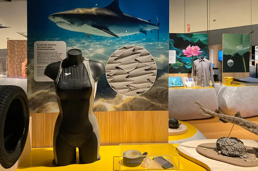 Technical Museum Vienna, exhibition bionics, shark skin