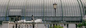 Lipizzaner im Burggarten