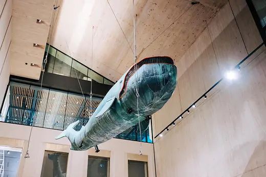 Wien Museum Karlsplatz, Poldi mascott
