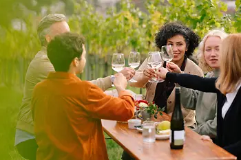 A group of people drinking wine in the Viennese vineyards