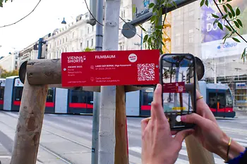 Vienna Shorts, tree, plaque