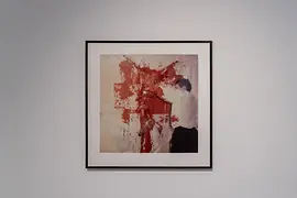 Vienna Actionism Museum, exhibition view