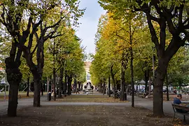 Old AKH, courtyard, avenue