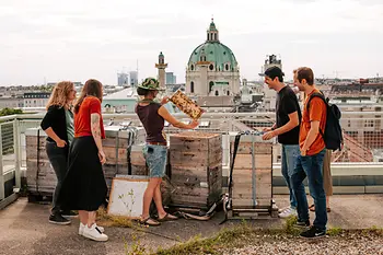 Bienen am Dach des Naturhistorischen Museums Wien