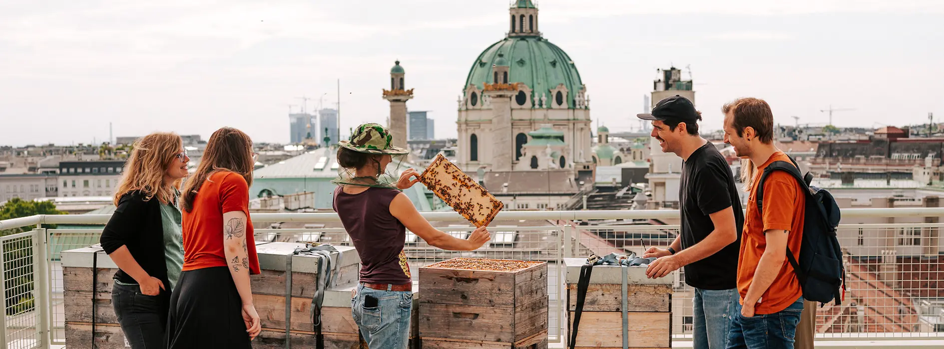 Bienen am Dach des Naturhistorischen Museums Wien