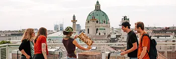 Bienen am Dach des Naturhistorischen Museums Wien