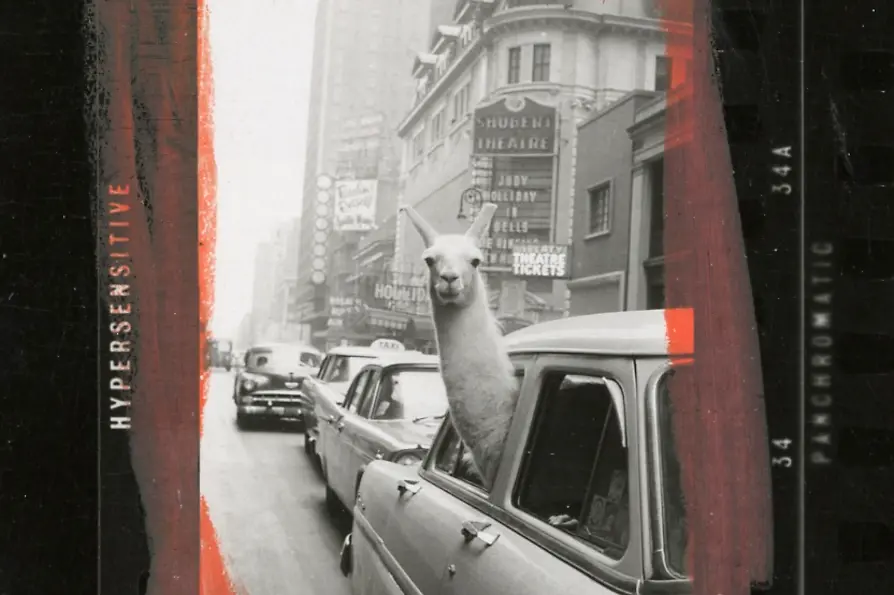 A Llama in Times Square, New York City, USA, 1957
