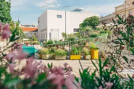 Begrünte Freifläche im MuseumsQuartier mit Blumen, Pflanzkästen, Sitzgelegenheiten und Menschen vor moderner Architektur an einem sonnigen Tag.