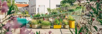 Begrünte Freifläche im MuseumsQuartier mit Blumen, Pflanzkästen, Sitzgelegenheiten und Menschen vor moderner Architektur an einem sonnigen Tag.