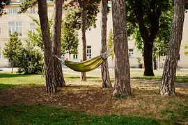 Hängematte zwischen Bäumen im Alten AKH