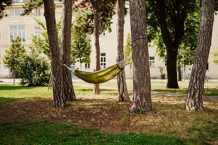 Hängematte zwischen Bäumen im Alten AKH